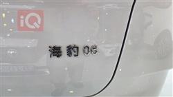 بي واي دي سيل 06 DM-i